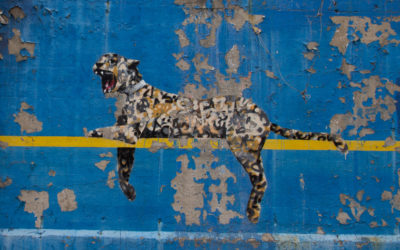 Banksy und der Hype um seine Werke