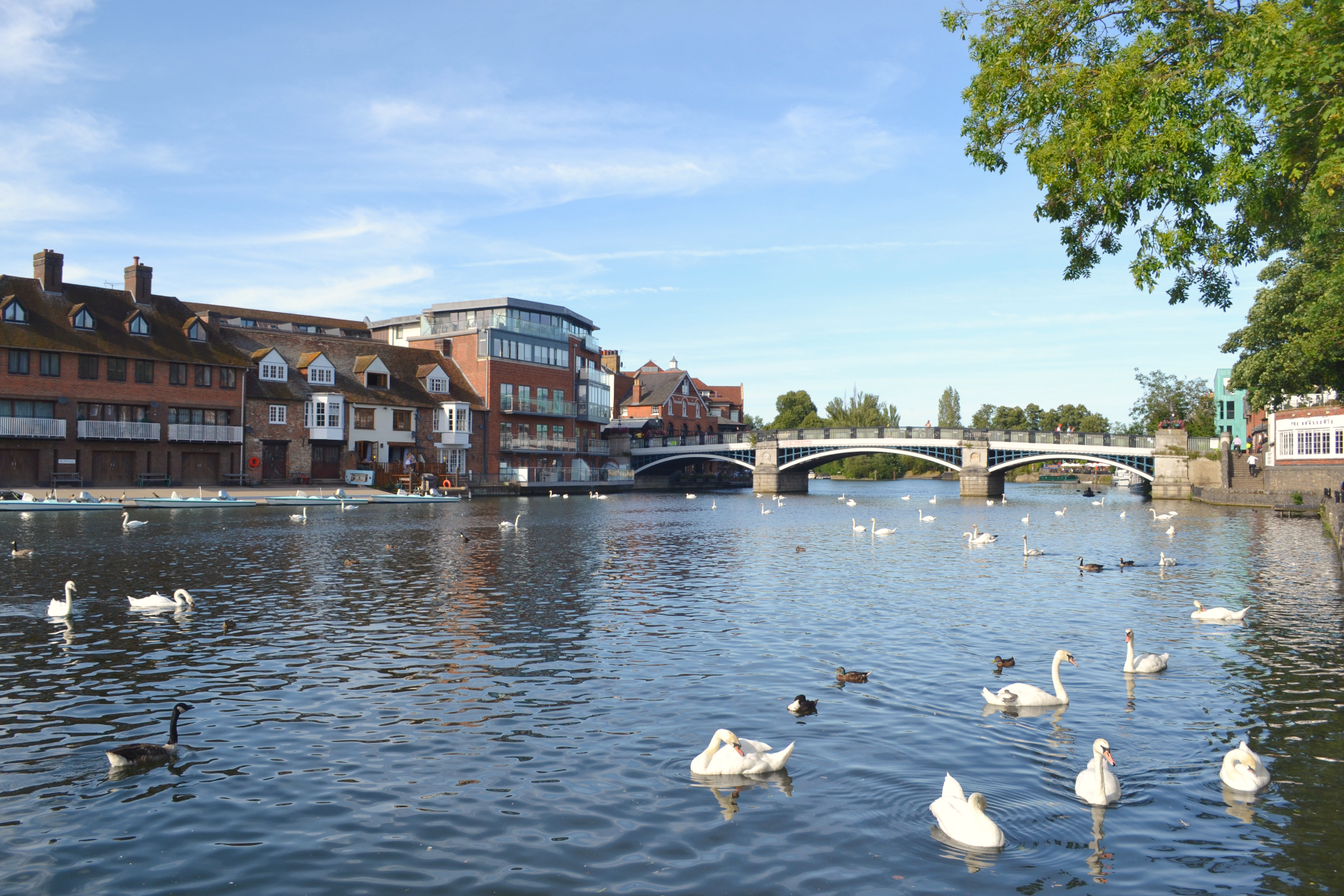 Ufer der Themse in Windsor