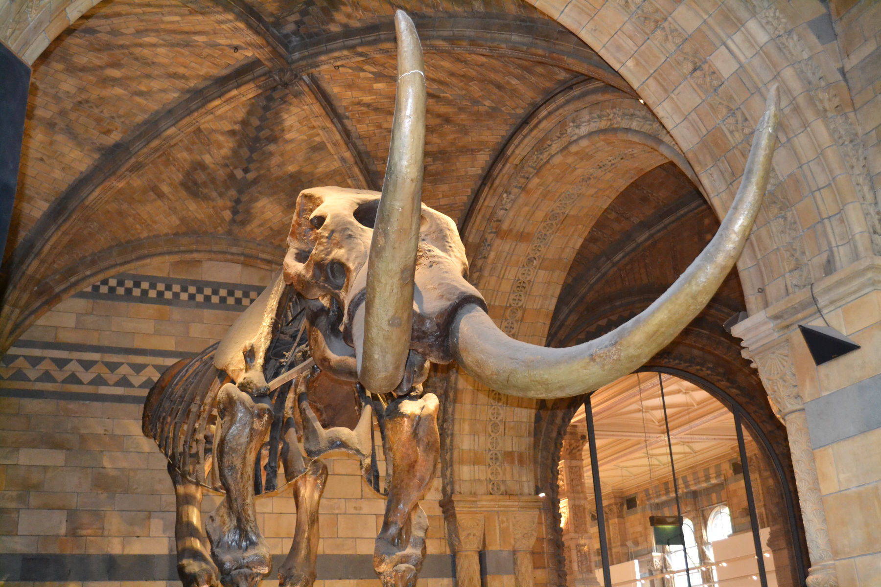 Natural History Museum