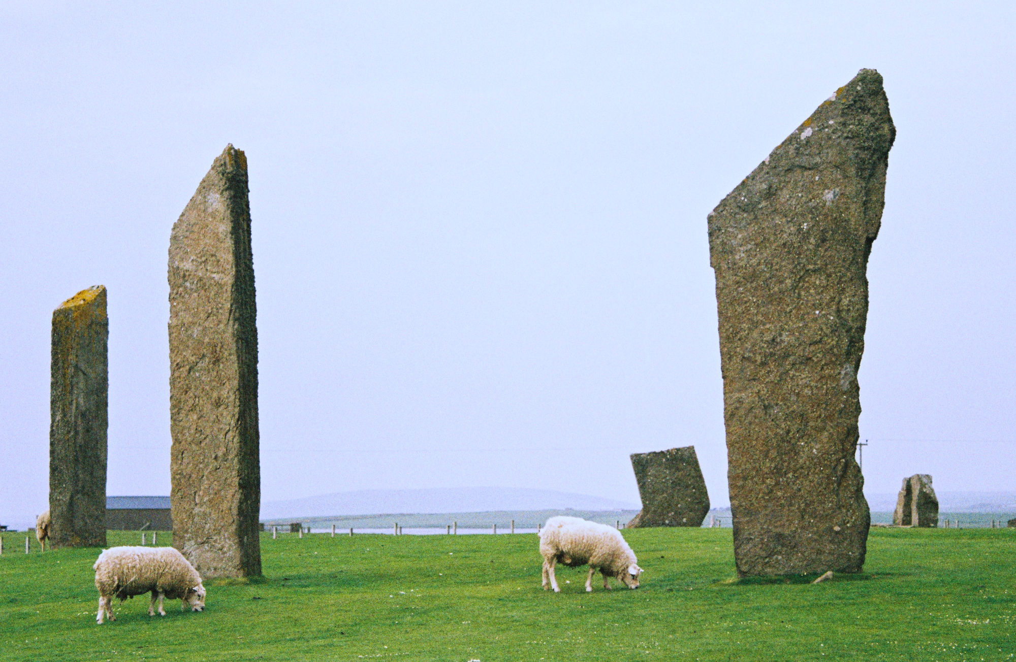 Orkney Inseln