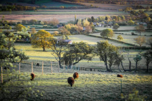 North Yorkshire