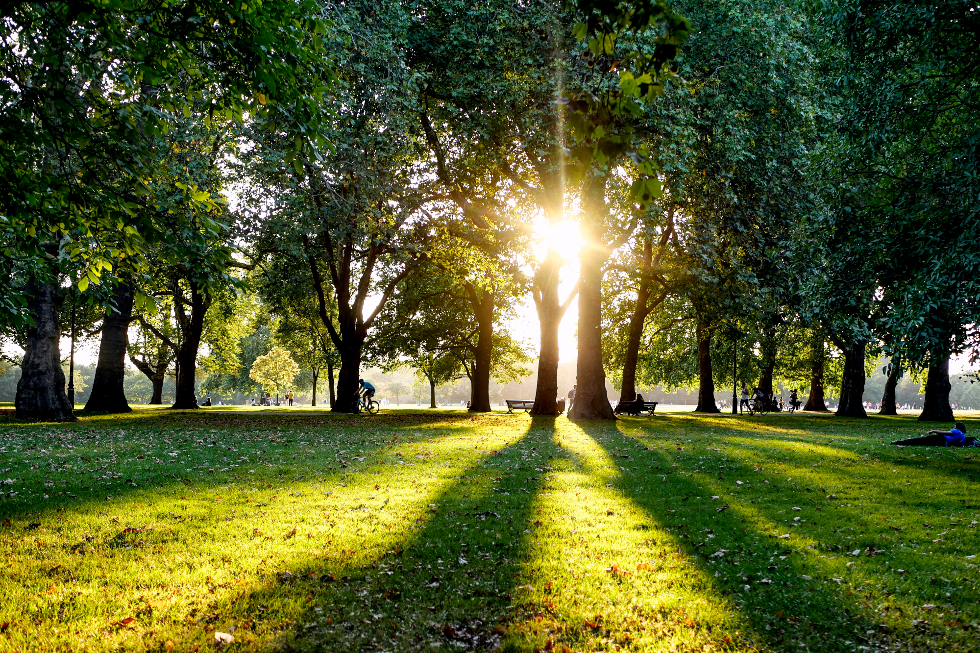 Hyde Park im Herbst